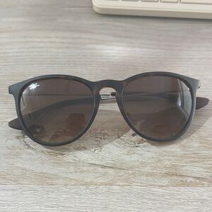Ray-Ban Erika Sunglasses